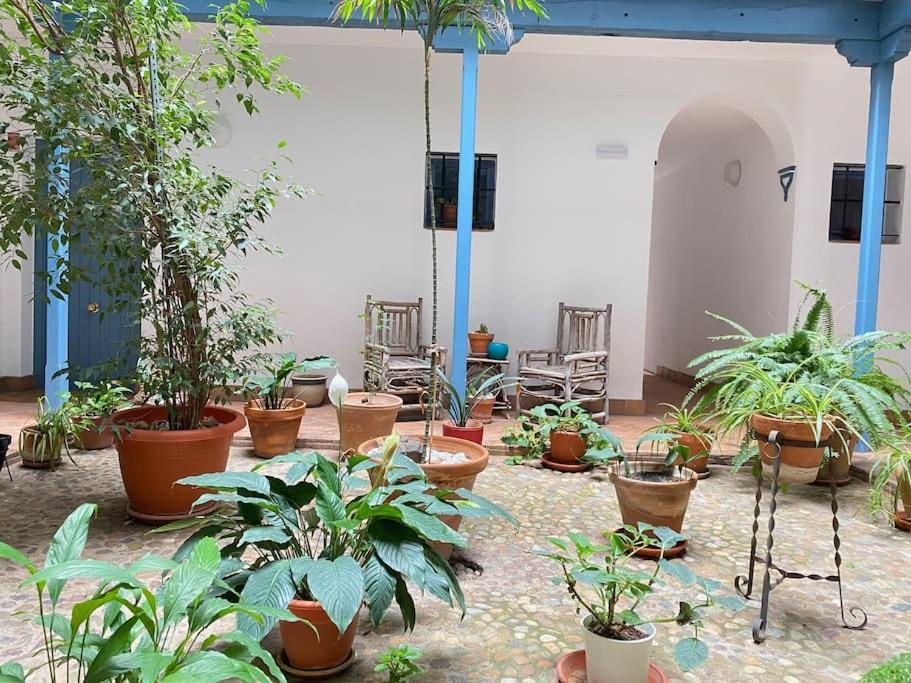 Hispalis Casa Pilatos Sevilla Eksteriør bilde